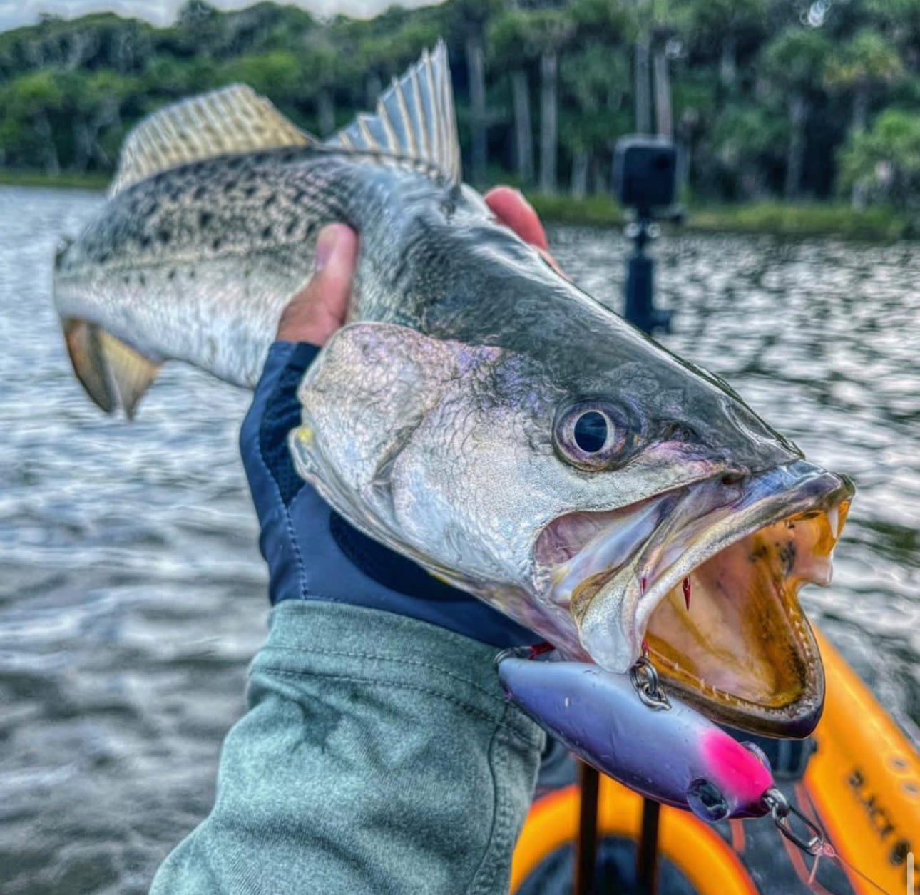 Topwater Co Speed Clips (15-45-70-120lbs)