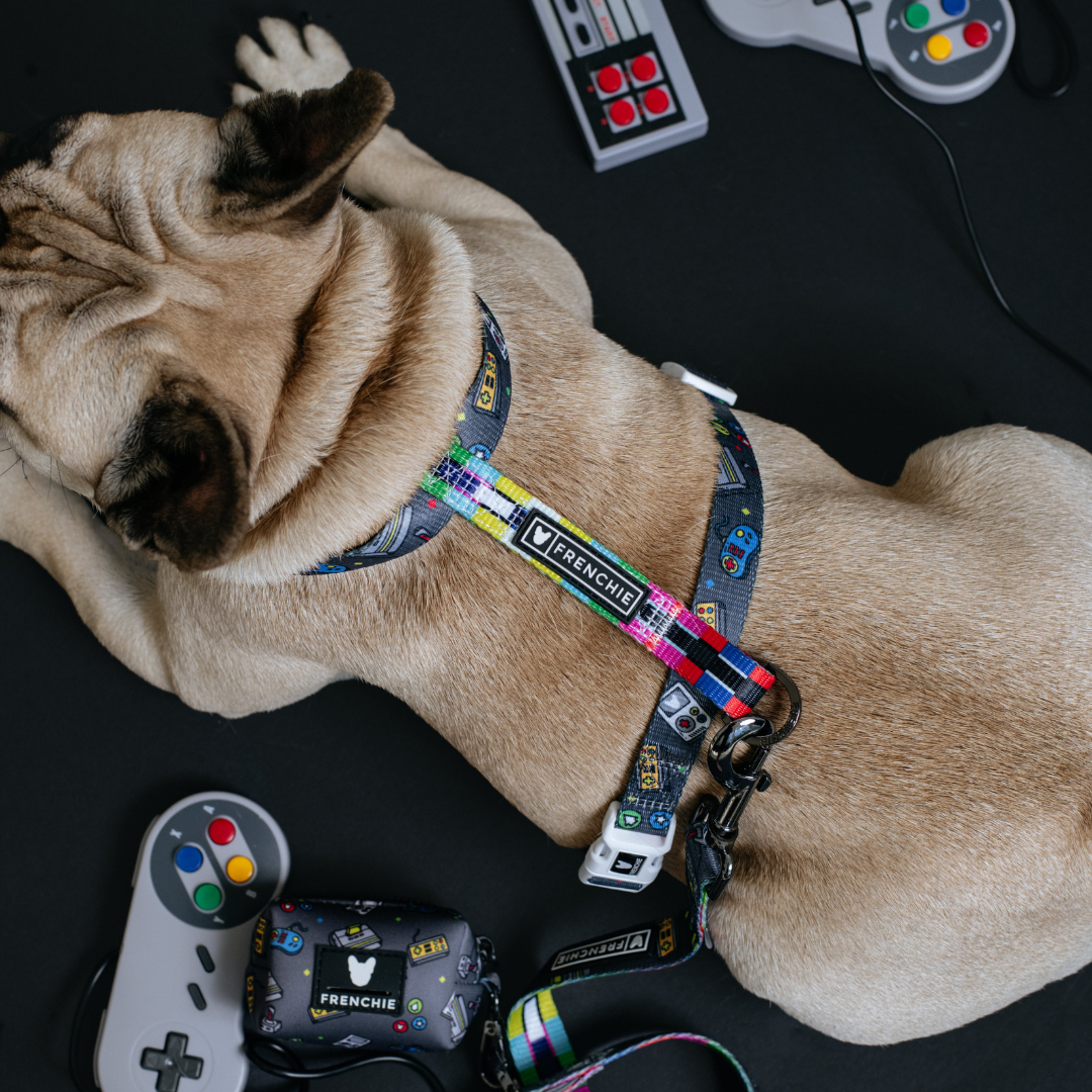 Frenchie Strap Harness - Gamer