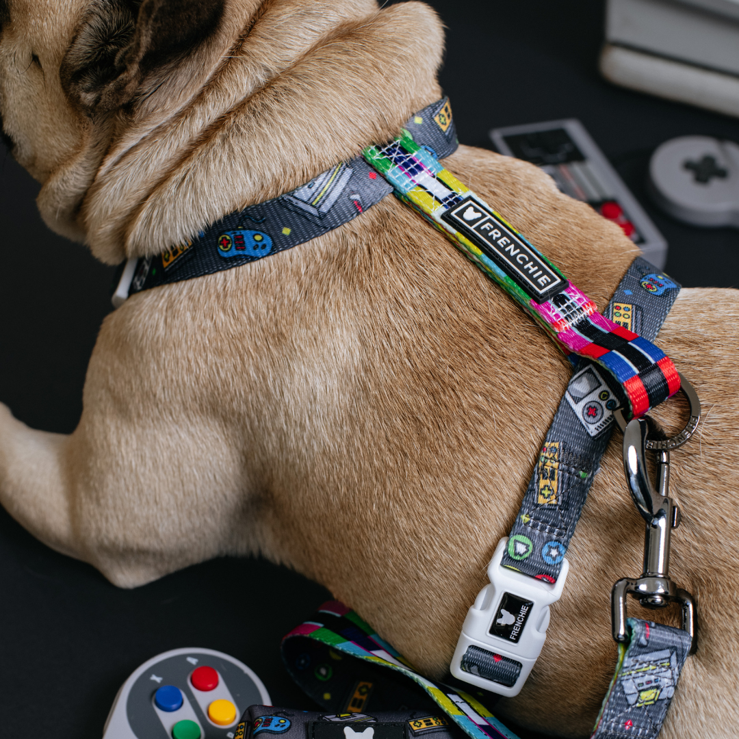 Frenchie Strap Harness - Gamer