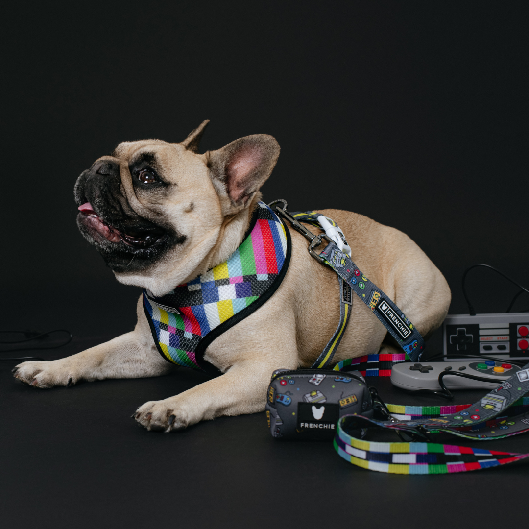 Frenchie Comfort Leash - Gamer