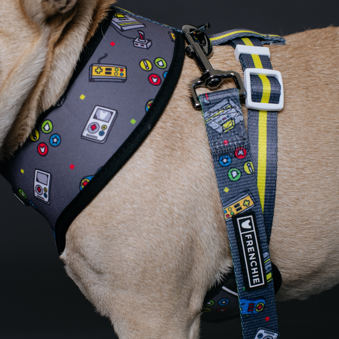 Frenchie Comfort Leash - Gamer