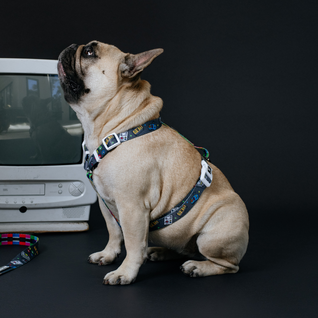 Frenchie Strap Harness - Gamer