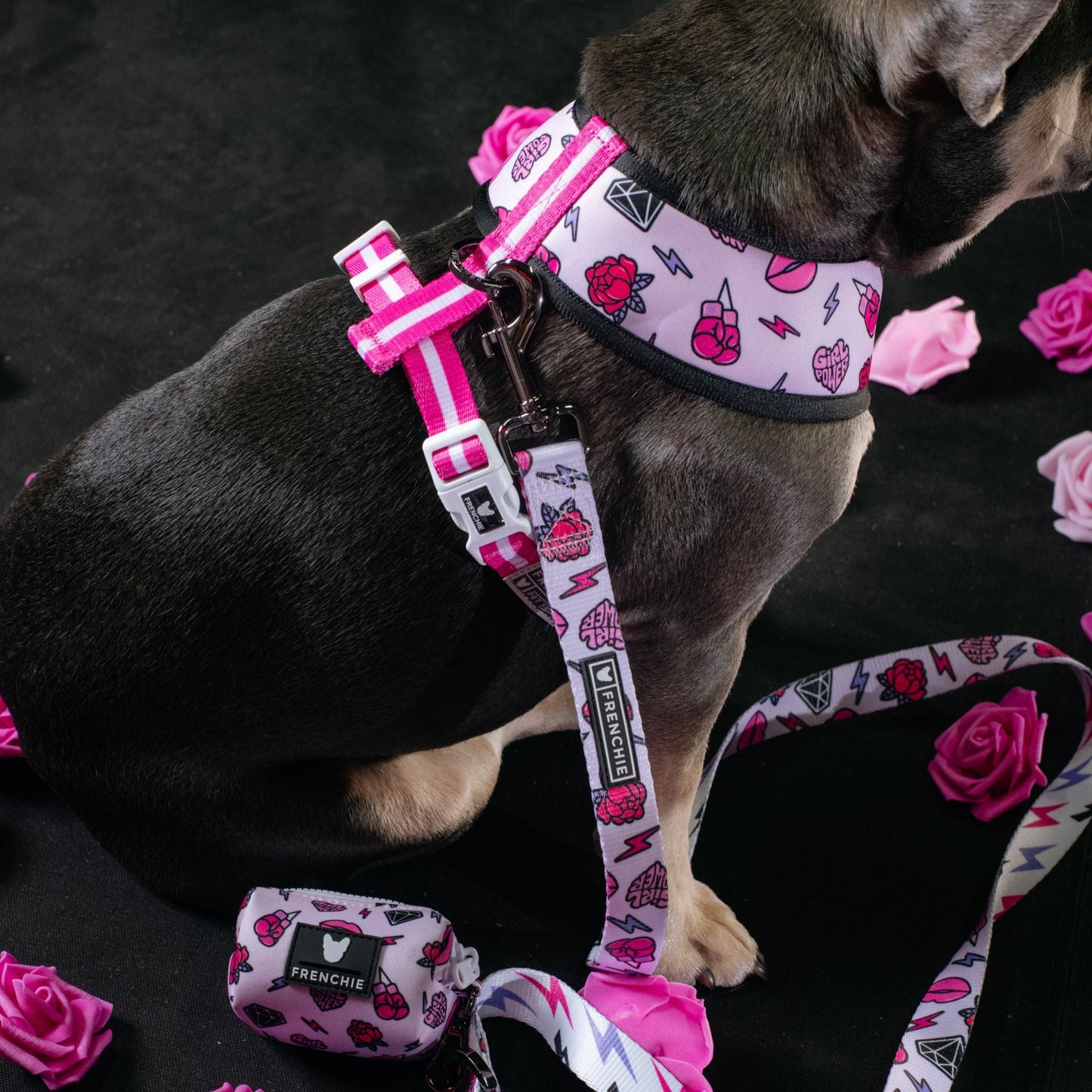 Frenchie Duo Reversible Harness - Girl Power