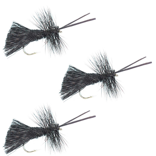 3 Pack Goddard Caddis Black Dry Fly - Hook Size 14