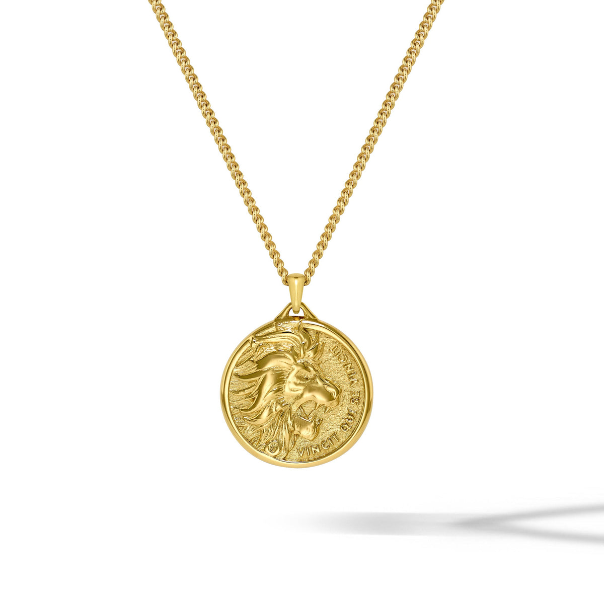 Built Different: The Lion - 14K Gold
