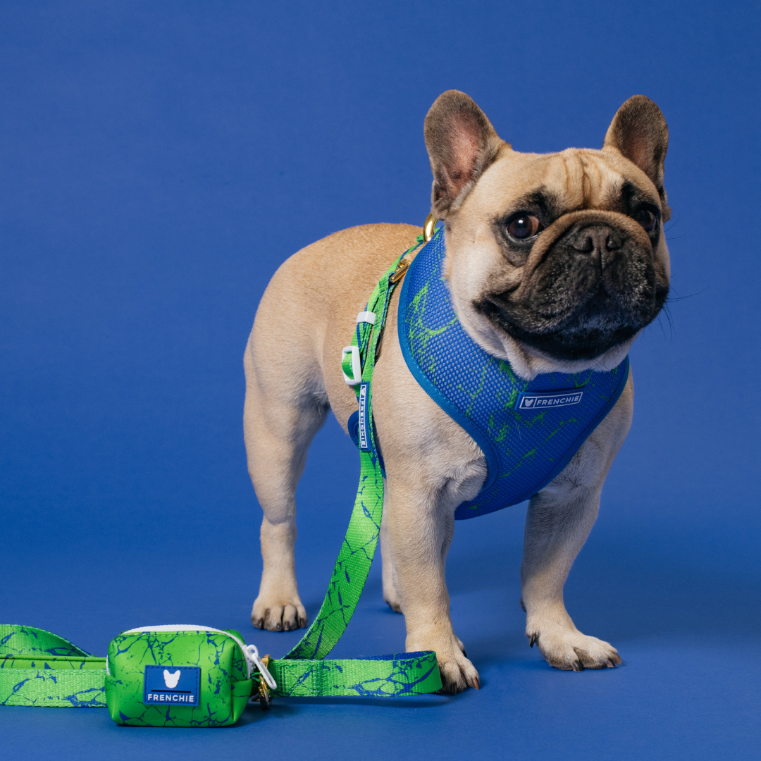 Frenchie Duo Reversible Harness - Green Marble