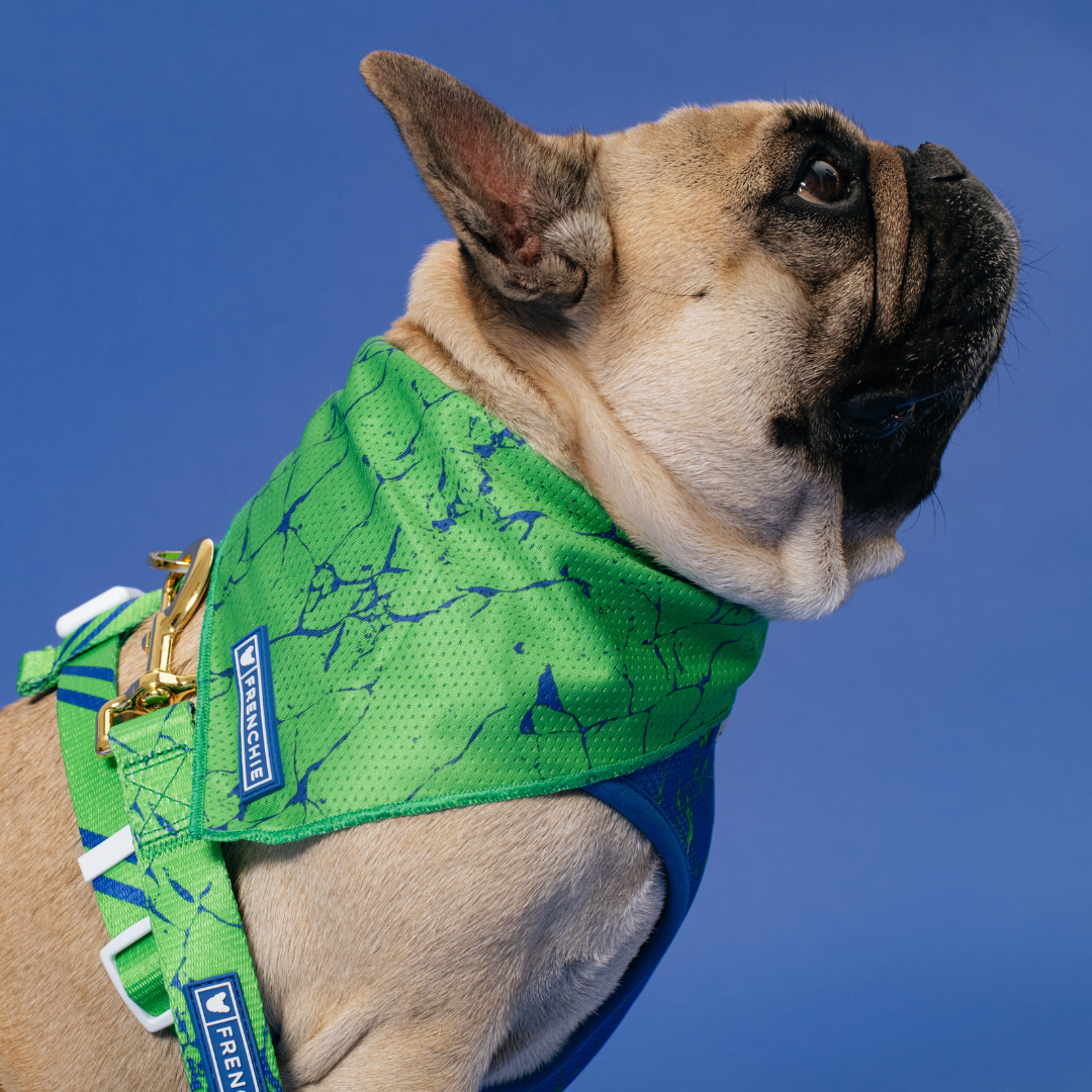 Frenchie Cooling Bandana - Green Marble