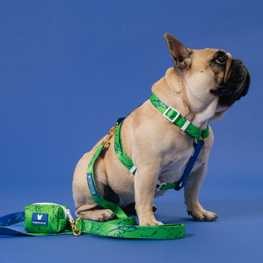 Frenchie Comfort Leash - Green Marble