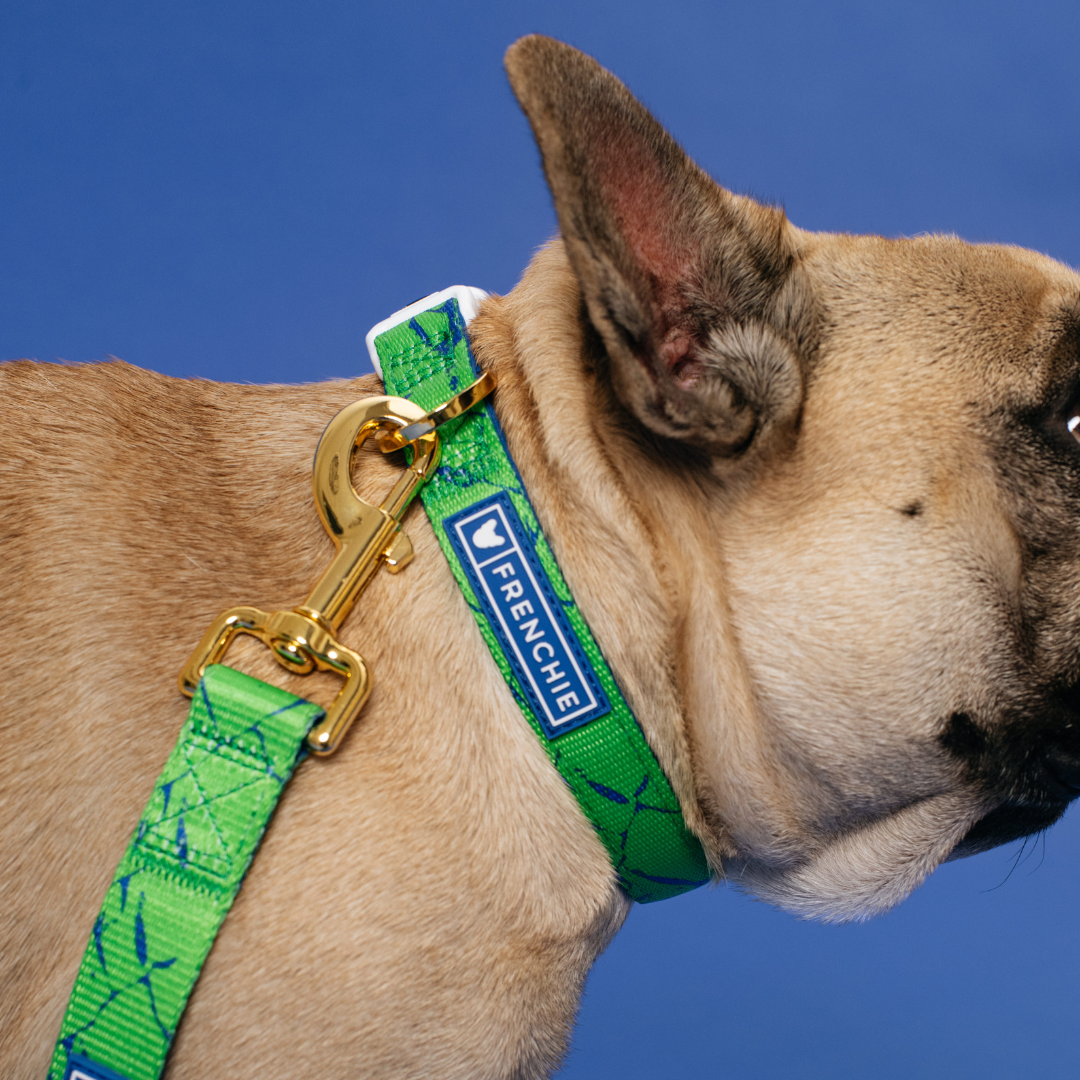 Frenchie Comfort Leash - Green Marble
