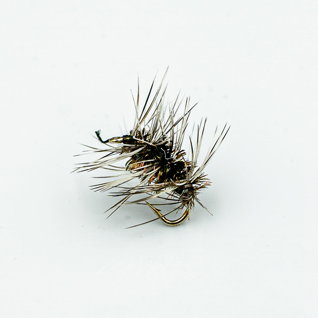 Griffith’s Gnat
