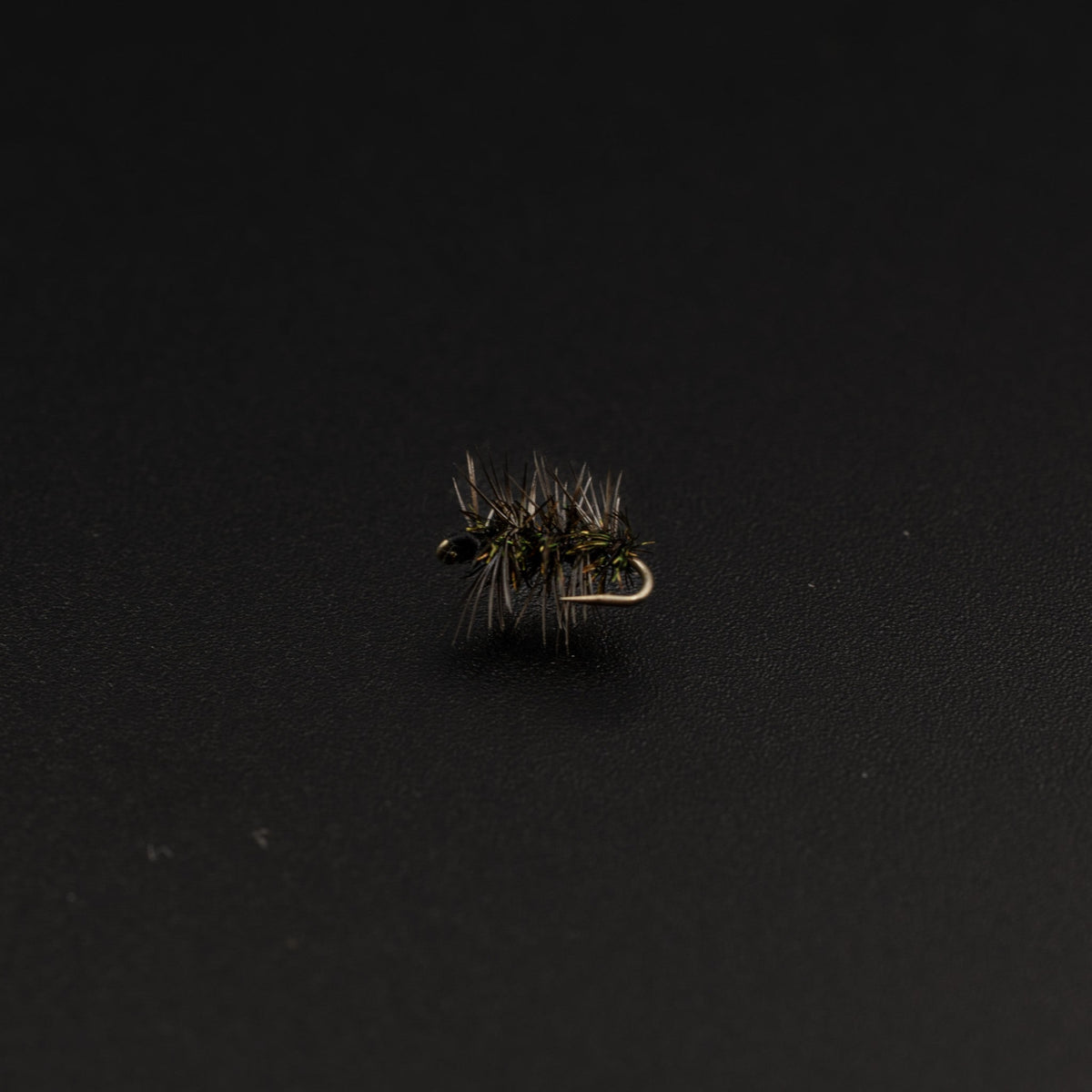 Griffith’s Gnat