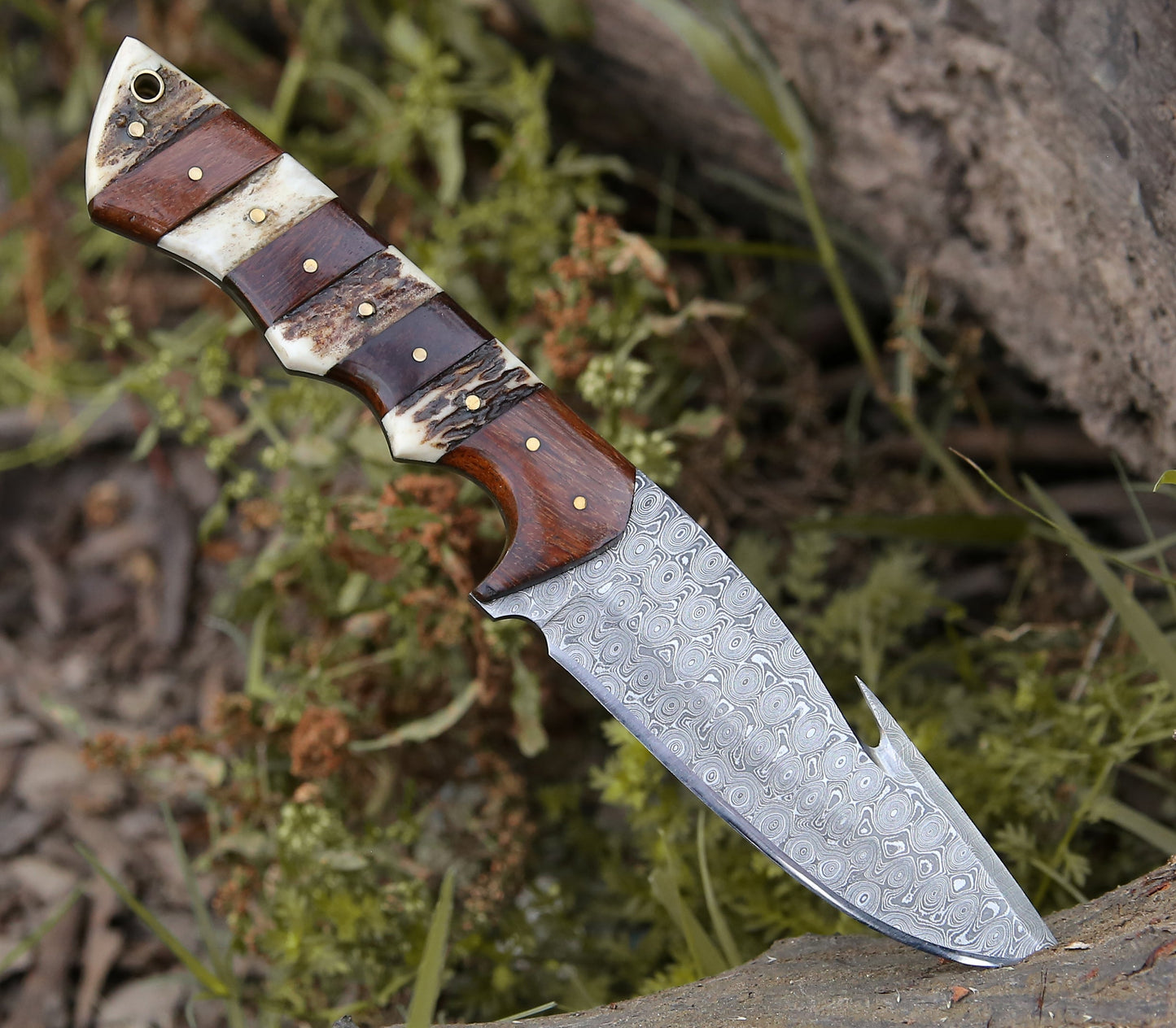 Sentinel Gut Hook Hunting Knife With Stag Horn & Exotic Rose Wood Mosaic Handle