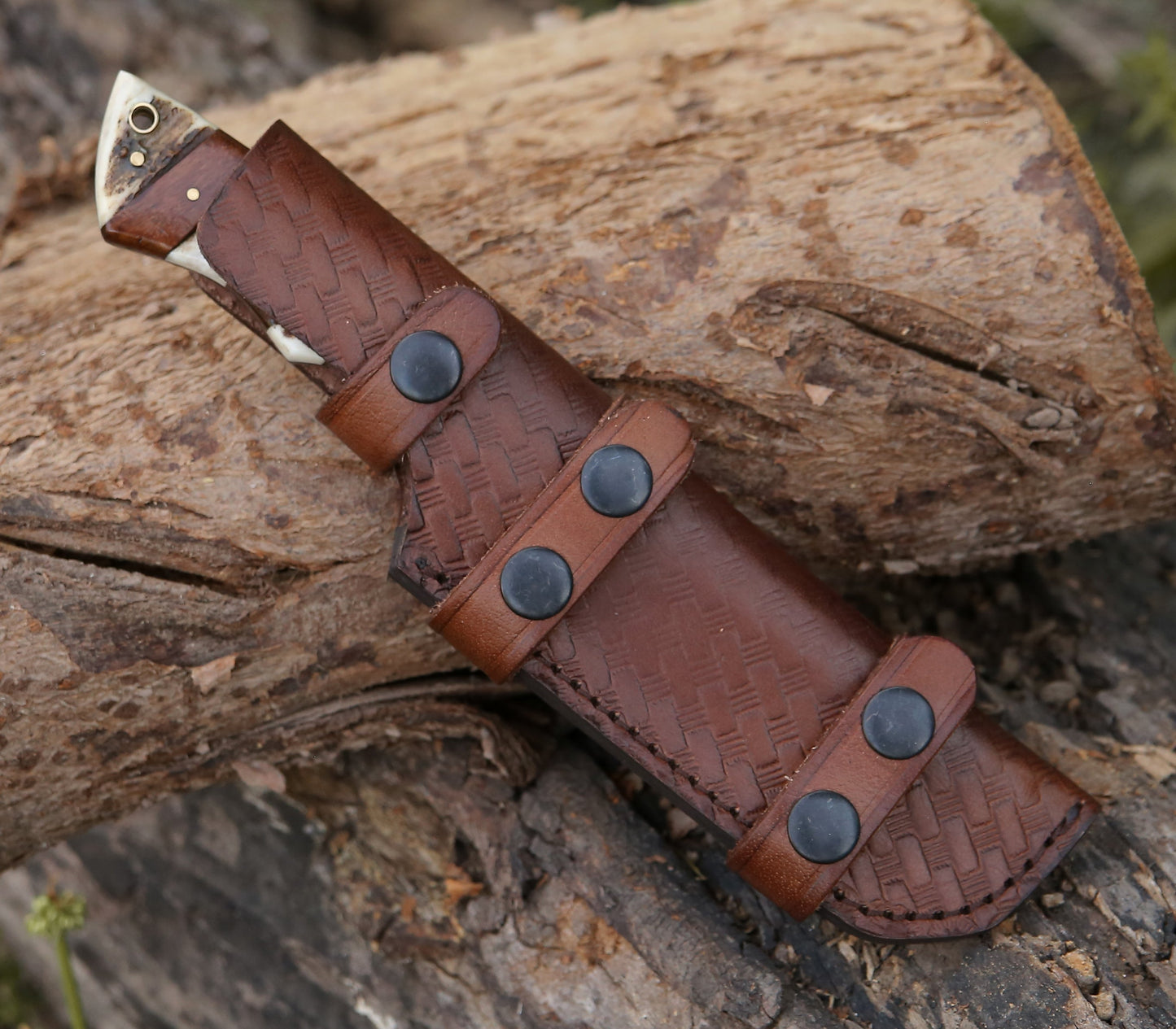 Sentinel Gut Hook Hunting Knife With Stag Horn & Exotic Rose Wood Mosaic Handle