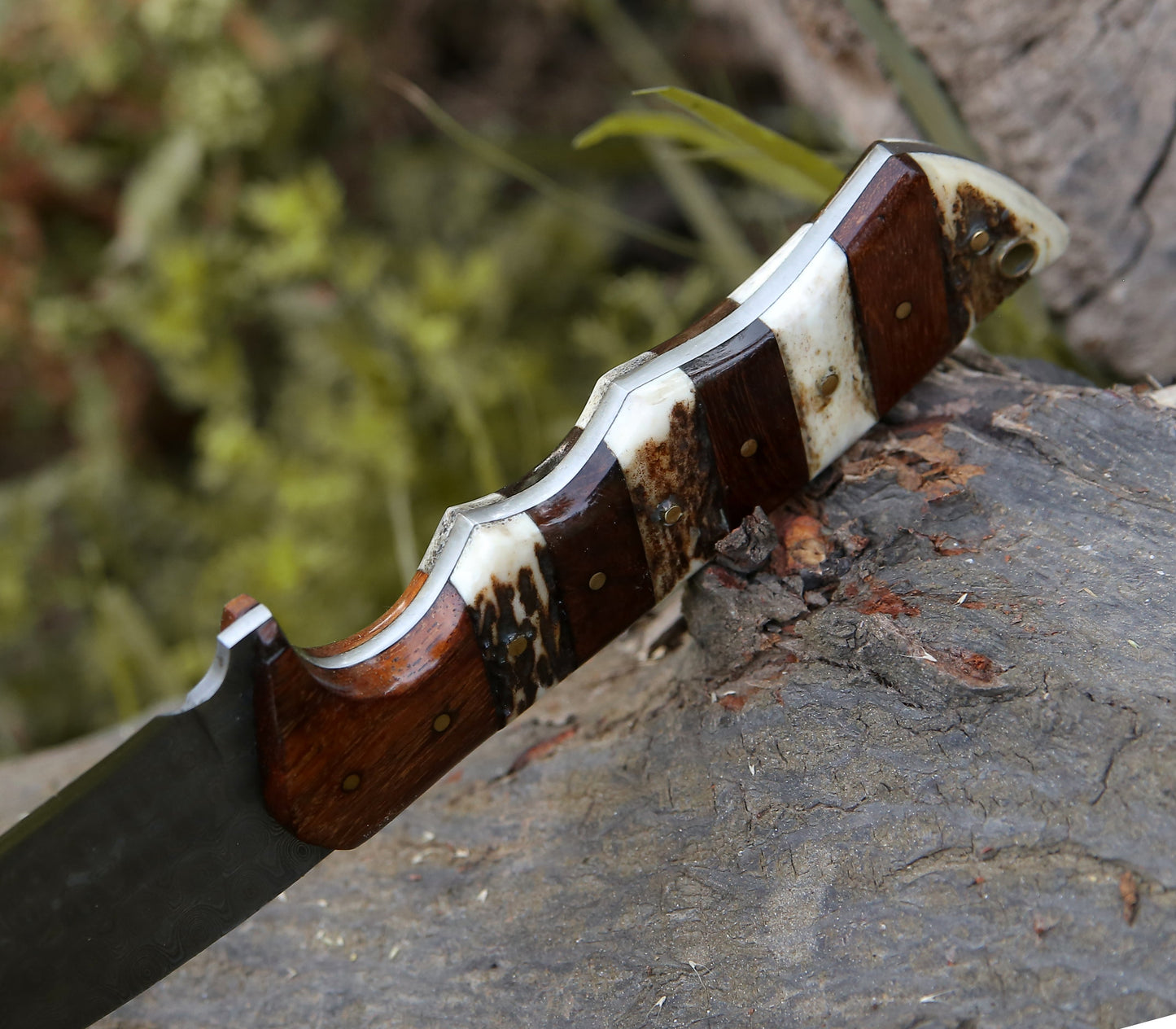 Sentinel Gut Hook Hunting Knife With Stag Horn & Exotic Rose Wood Mosaic Handle