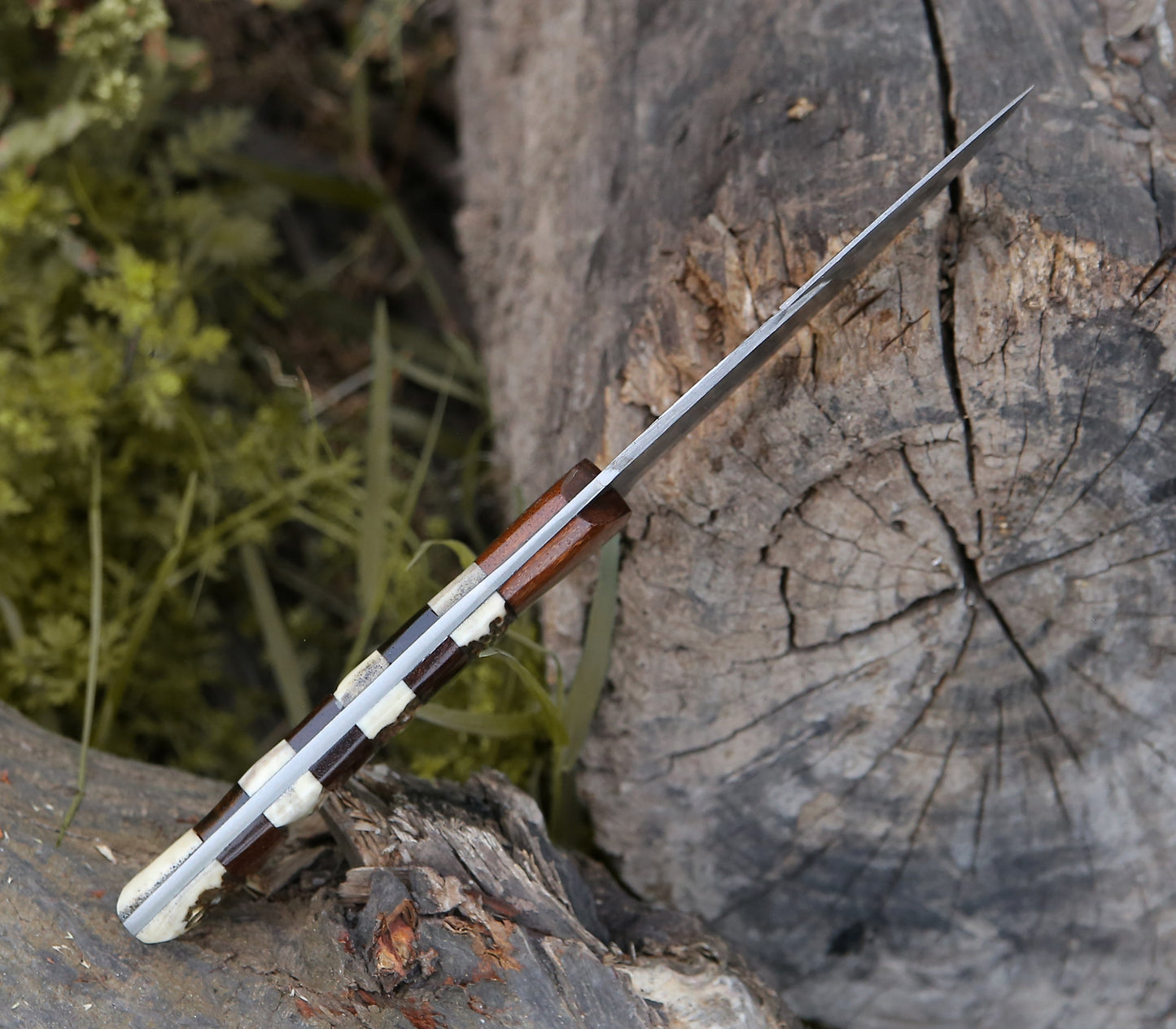 Sentinel Gut Hook Hunting Knife With Stag Horn & Exotic Rose Wood Mosaic Handle