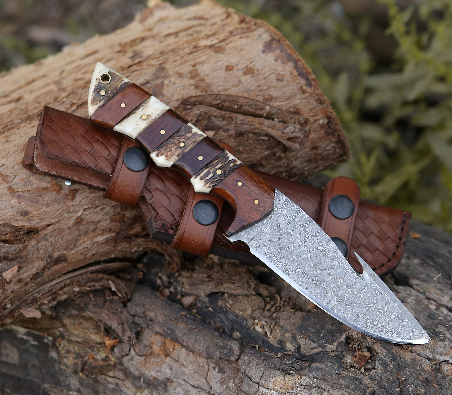 Sentinel Gut Hook Hunting Knife With Stag Horn & Exotic Rose Wood Mosaic Handle