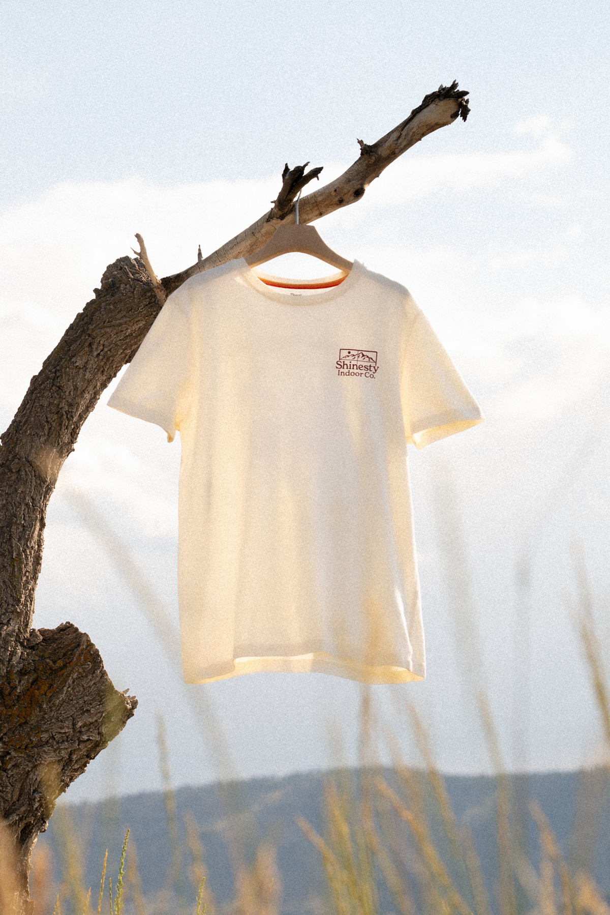 The Shinesty Indoor Co | Cabin Everyman™ T Shirt