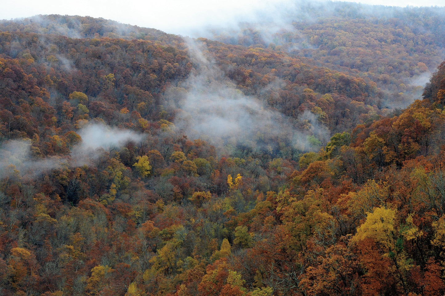 Connecting with Nature: Portraits and Essays on Nature and Man