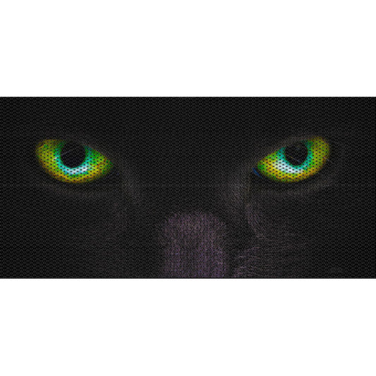 Here Kitty Kitty