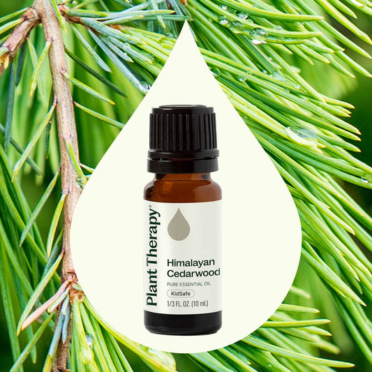 Himalayan Cedarwood Essential Oil
