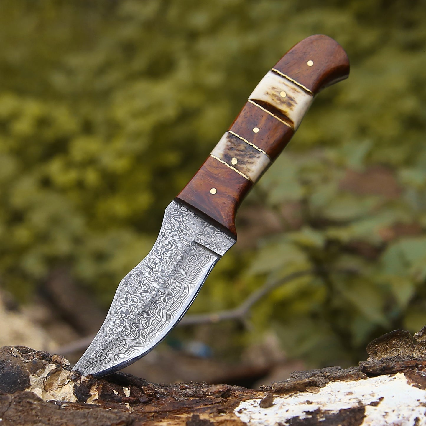 Mangler Damascus Hunting Knife with Rose Wood & Stag Horn Handle