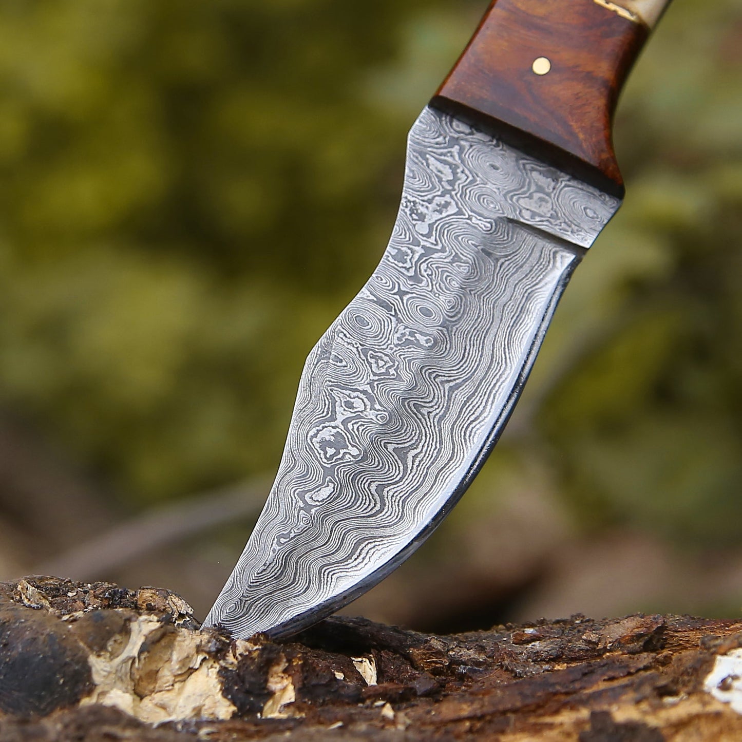 Mangler Damascus Hunting Knife with Rose Wood & Stag Horn Handle