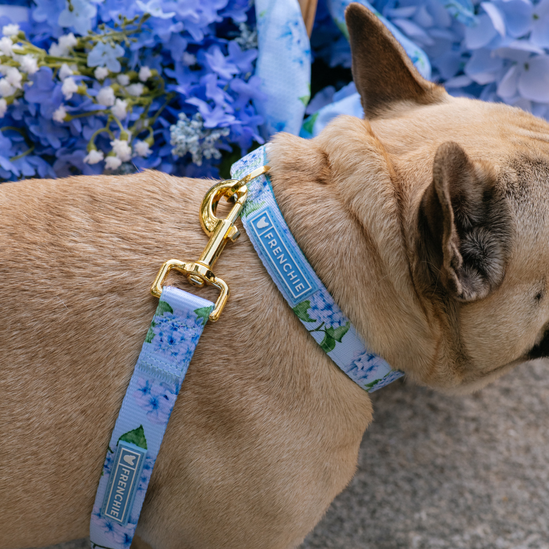 Frenchie Comfort Collar - Hydrangea