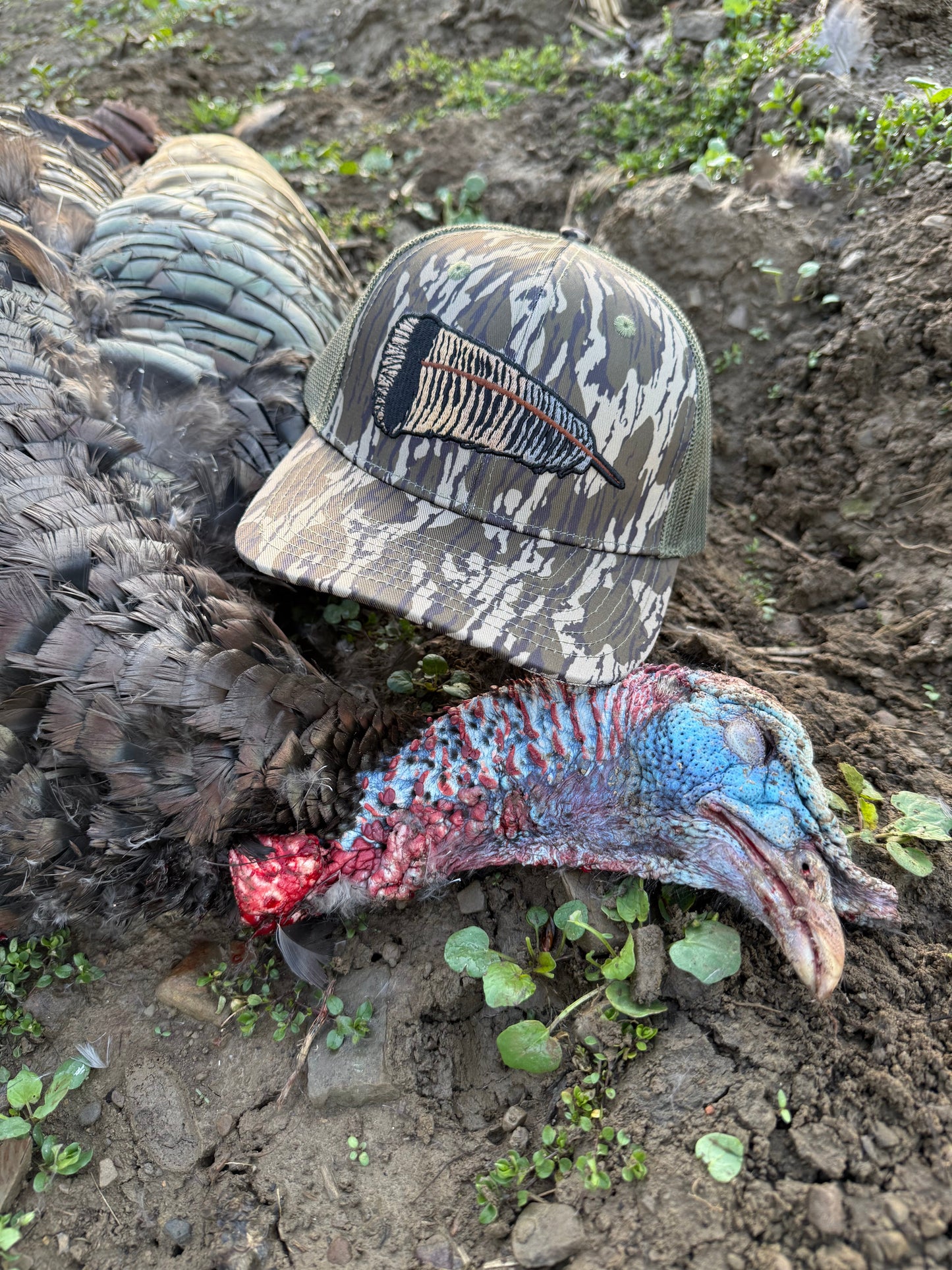 Whitetail Co. Fallen Feather Tree Bark Camo 6 Panel