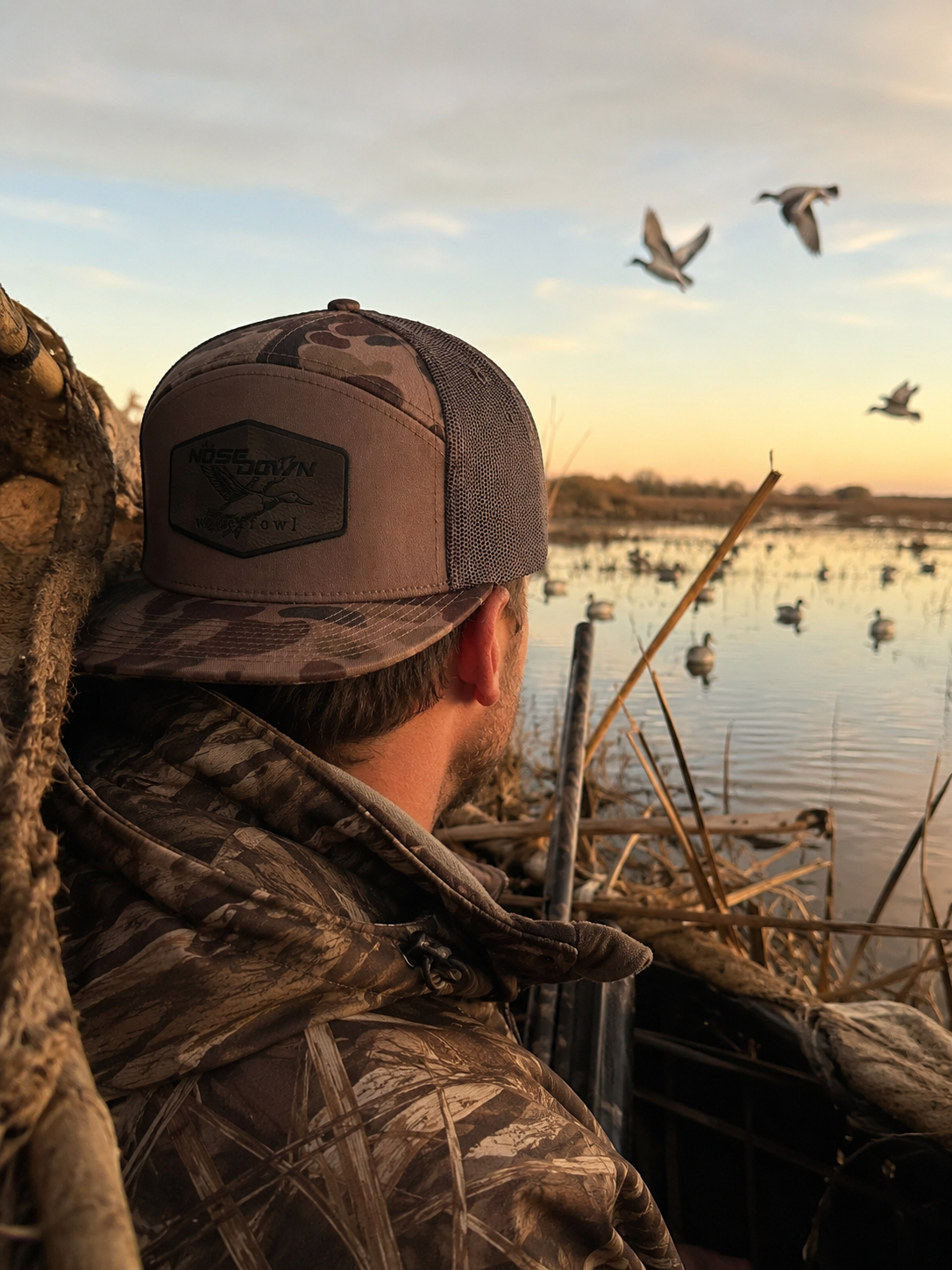 Flying Mallard 7 Panel