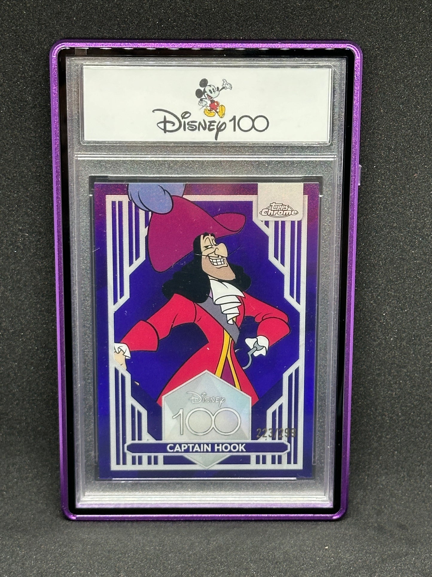 Slab Metal Aluminum and Glass Protective Case (1 Holder) for 35pt, 55pt & 75pt slabs