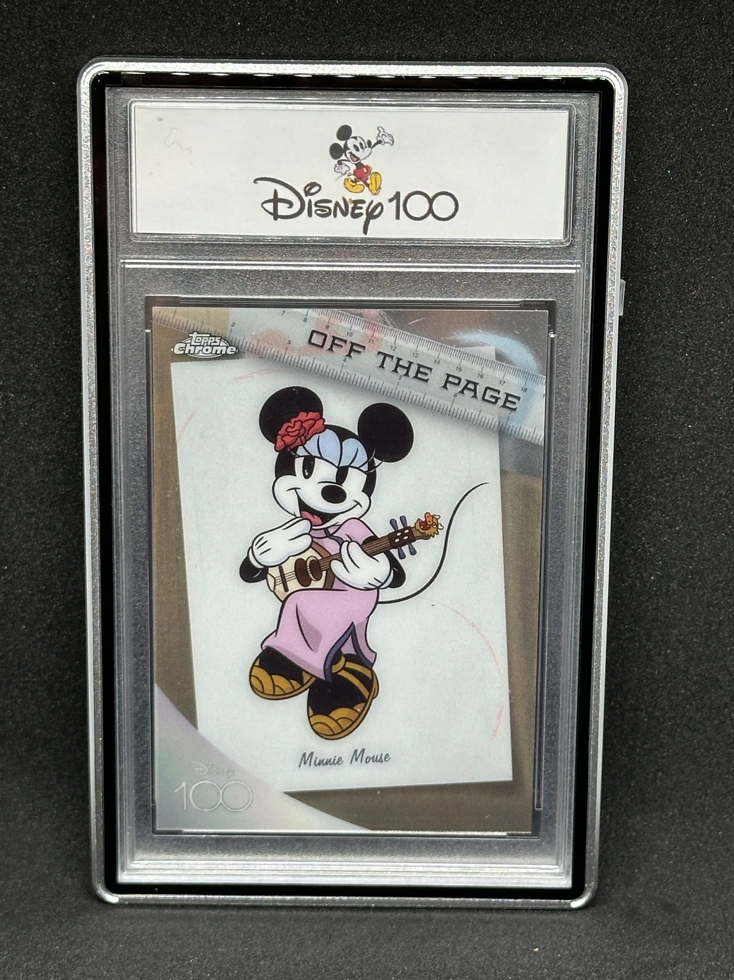 Slab Metal Aluminum and Glass Protective Case (1 Holder) for 35pt, 55pt & 75pt slabs