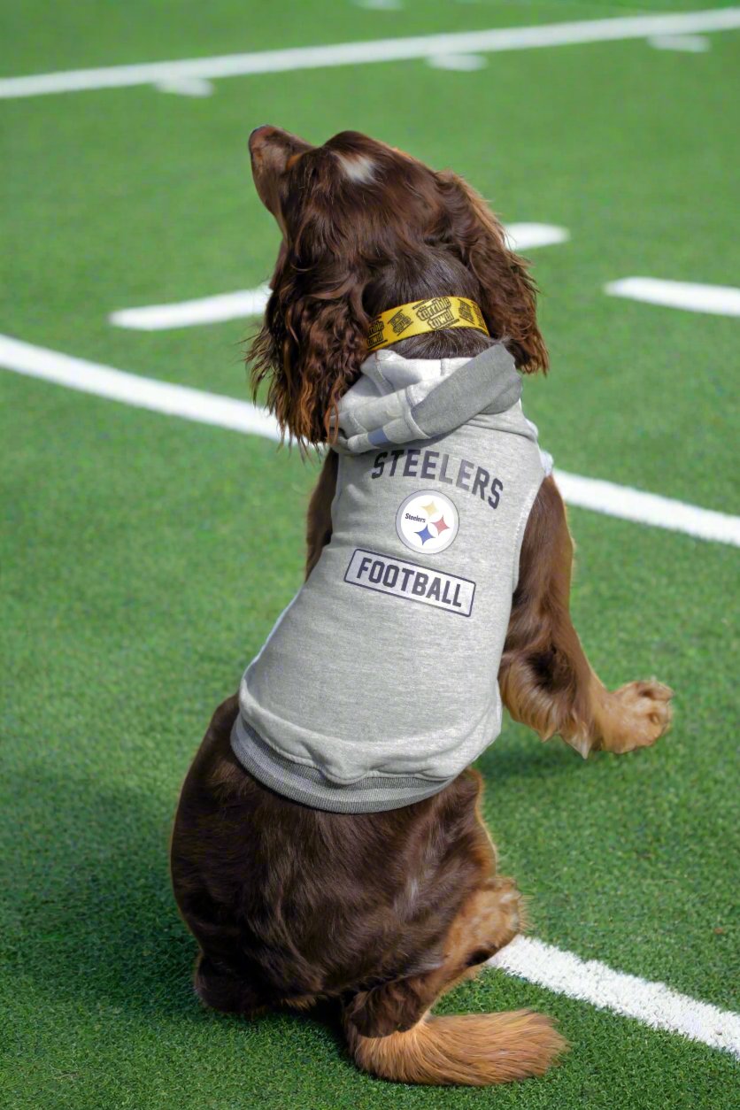 Pittsburgh Steelers Pet Collar – Official NFL Licensed Terrible Towel Dog Collar