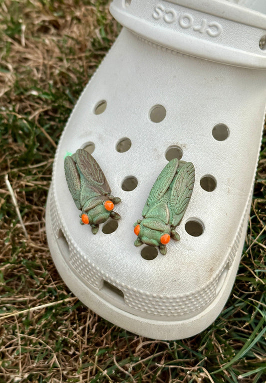 Cicada Shoe Charm