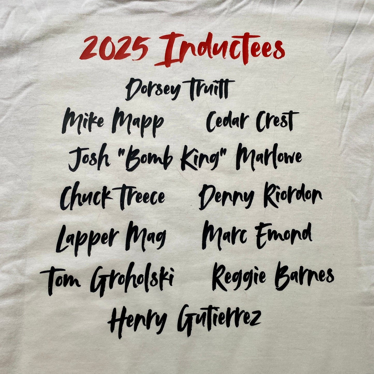 Skateboard Hall of Fame 2025 Inductees Shirt/Hoodie