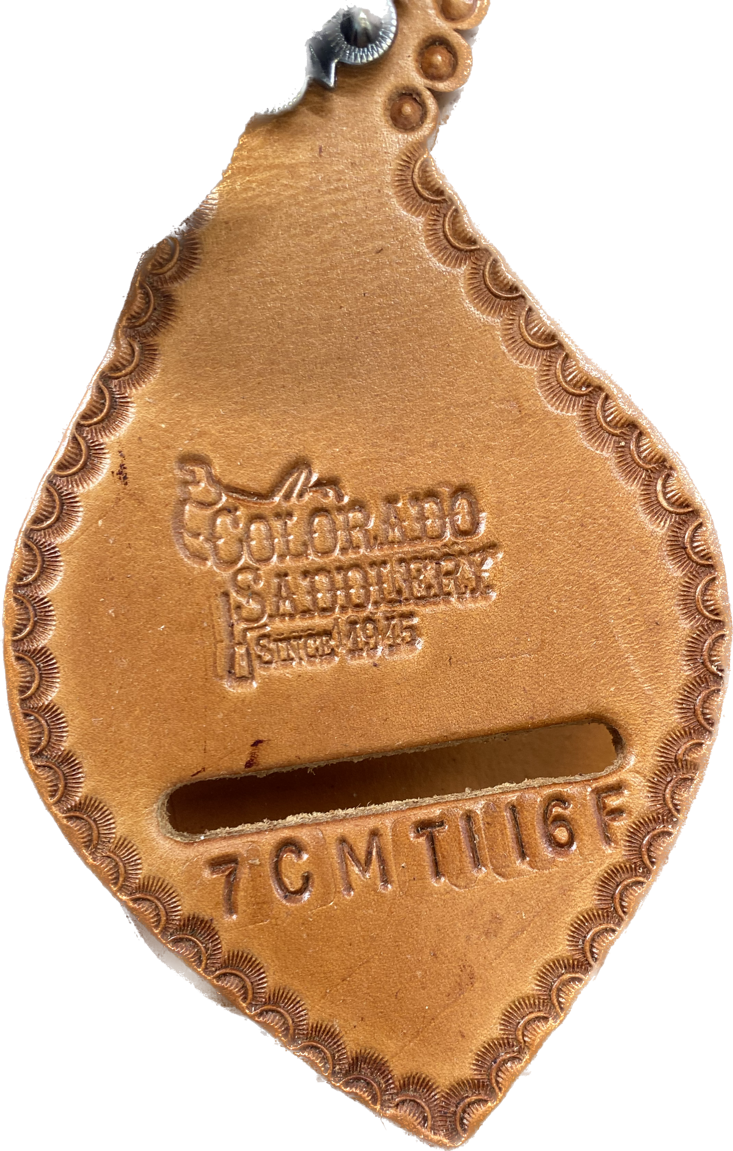 Colorado Mountain Trail 16"