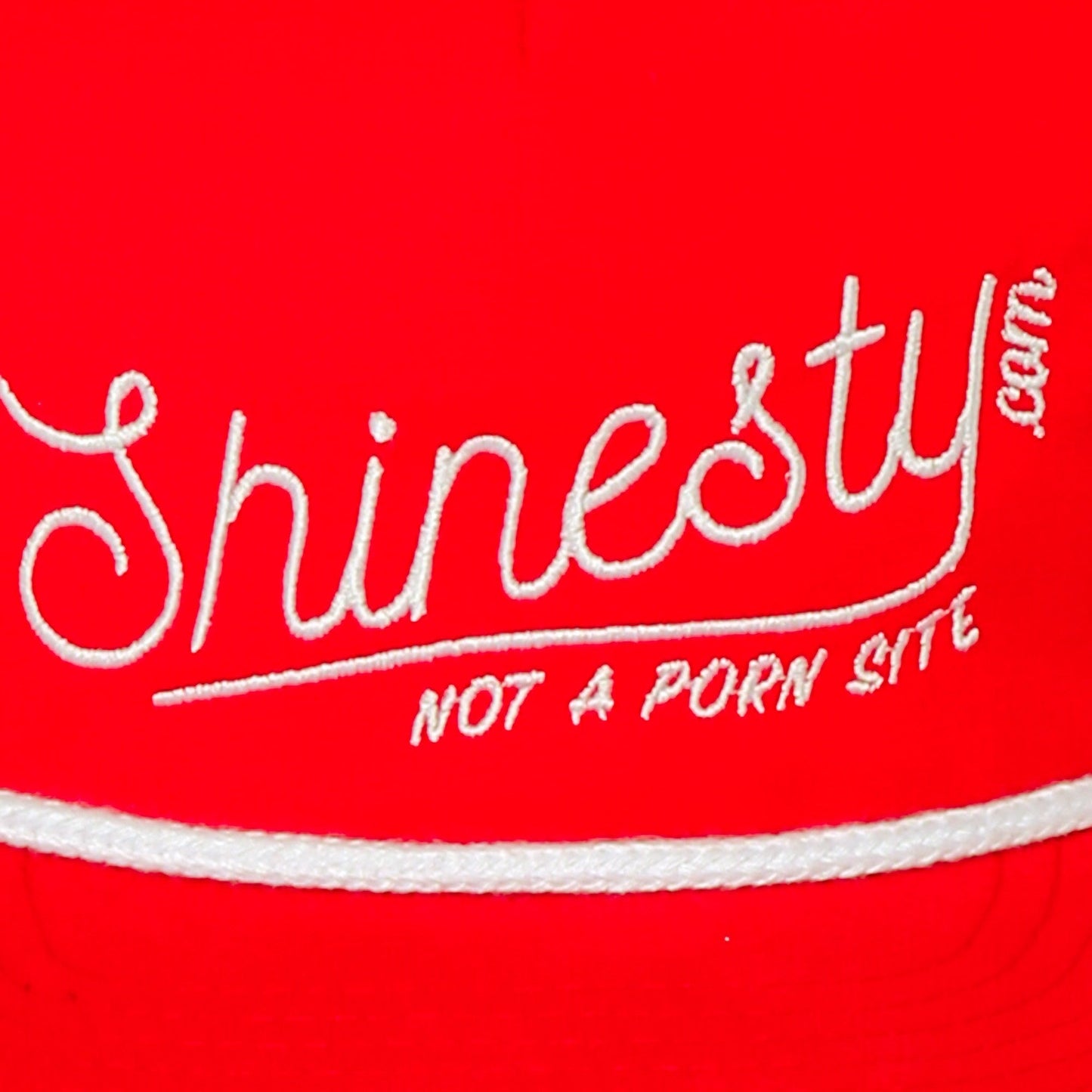 We're Not A Porn Site | Shinesty Snapback Hat
