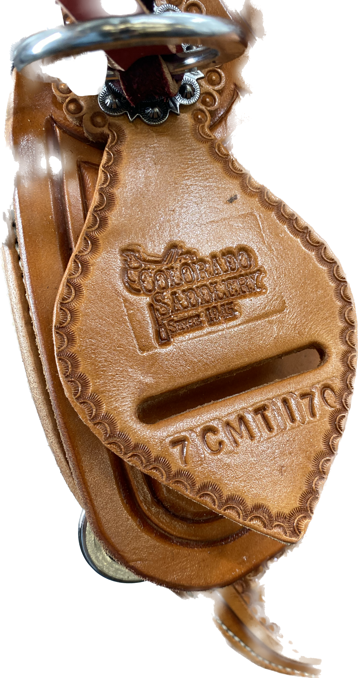 Colorado Mountain Trail 17"