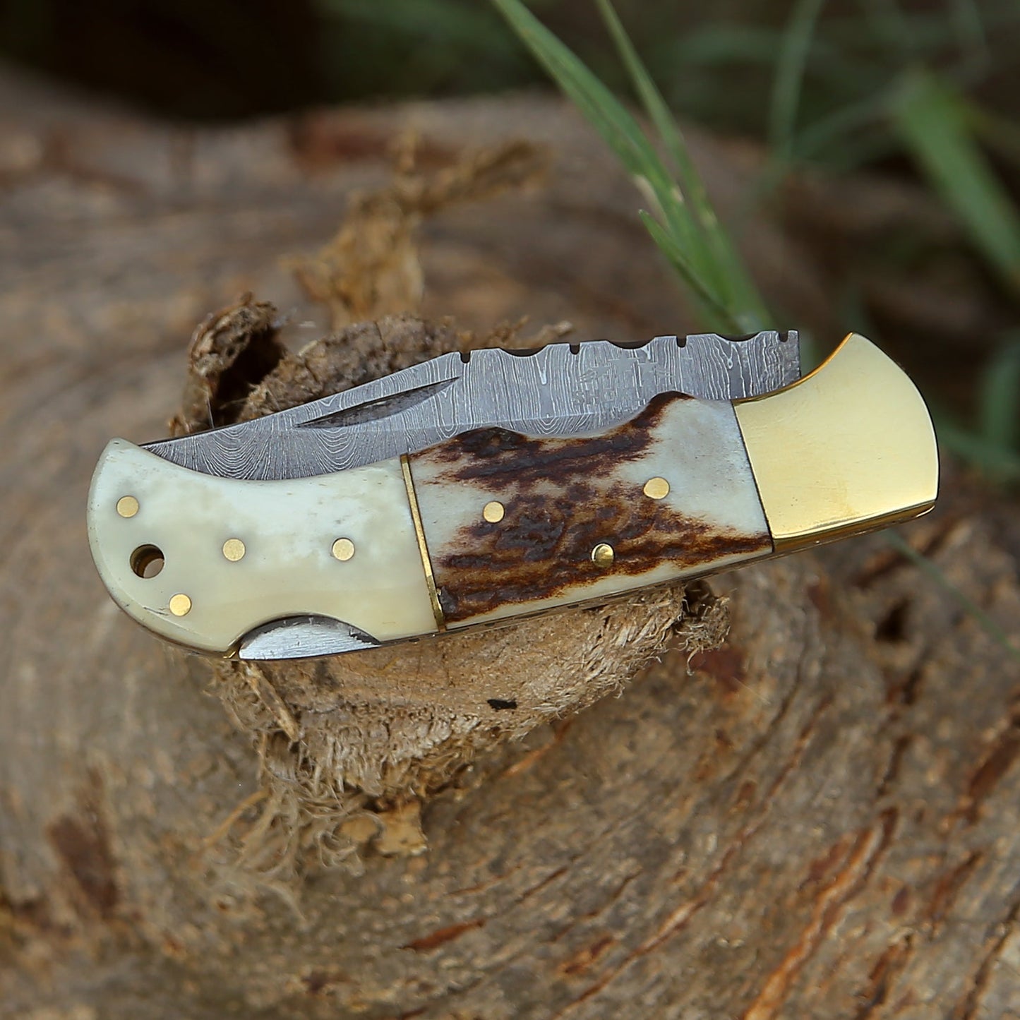 Antler Edge Damascus Pocket Knife with Staghorn & Bone Handle