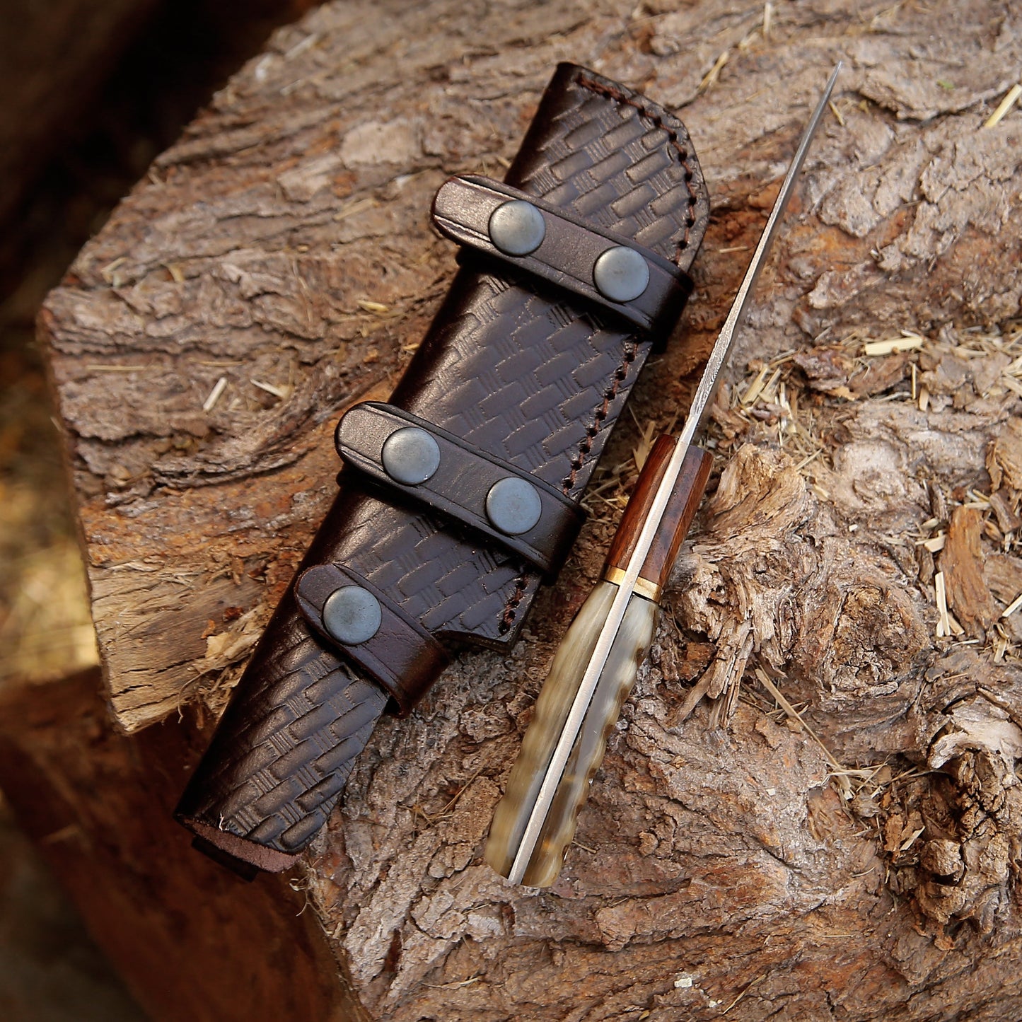 Starlight Damascus Hunting Knife with Exotic Rosewood & Ram Horn Handle