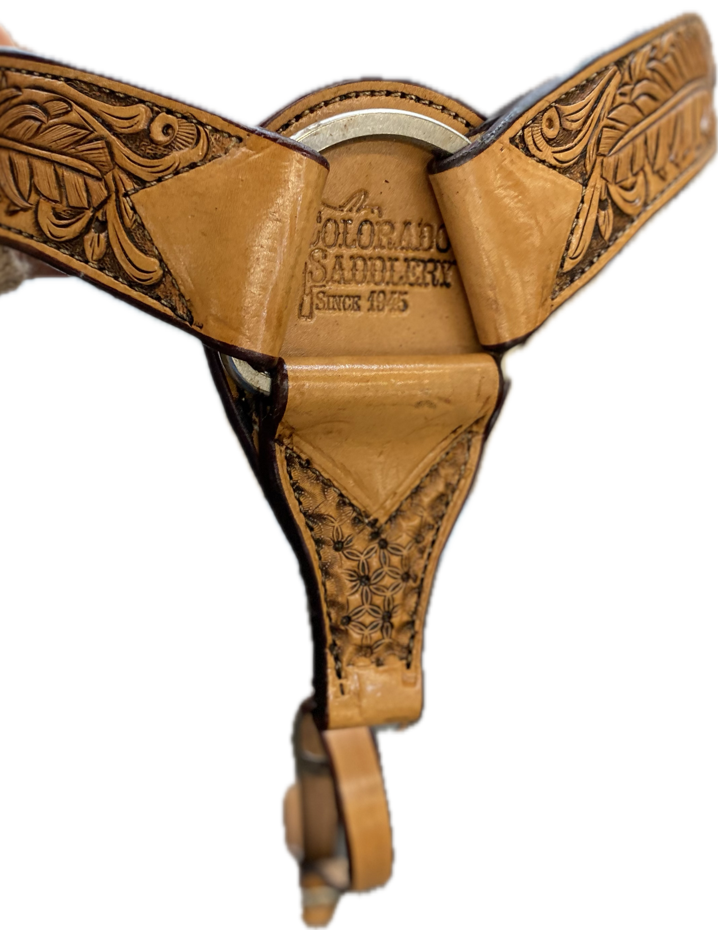 Deluxe Trail Flex Eagle Wing 14"