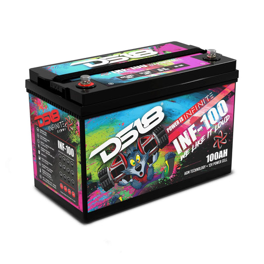 INFINITE 100 AH AGM Power Cell Battery