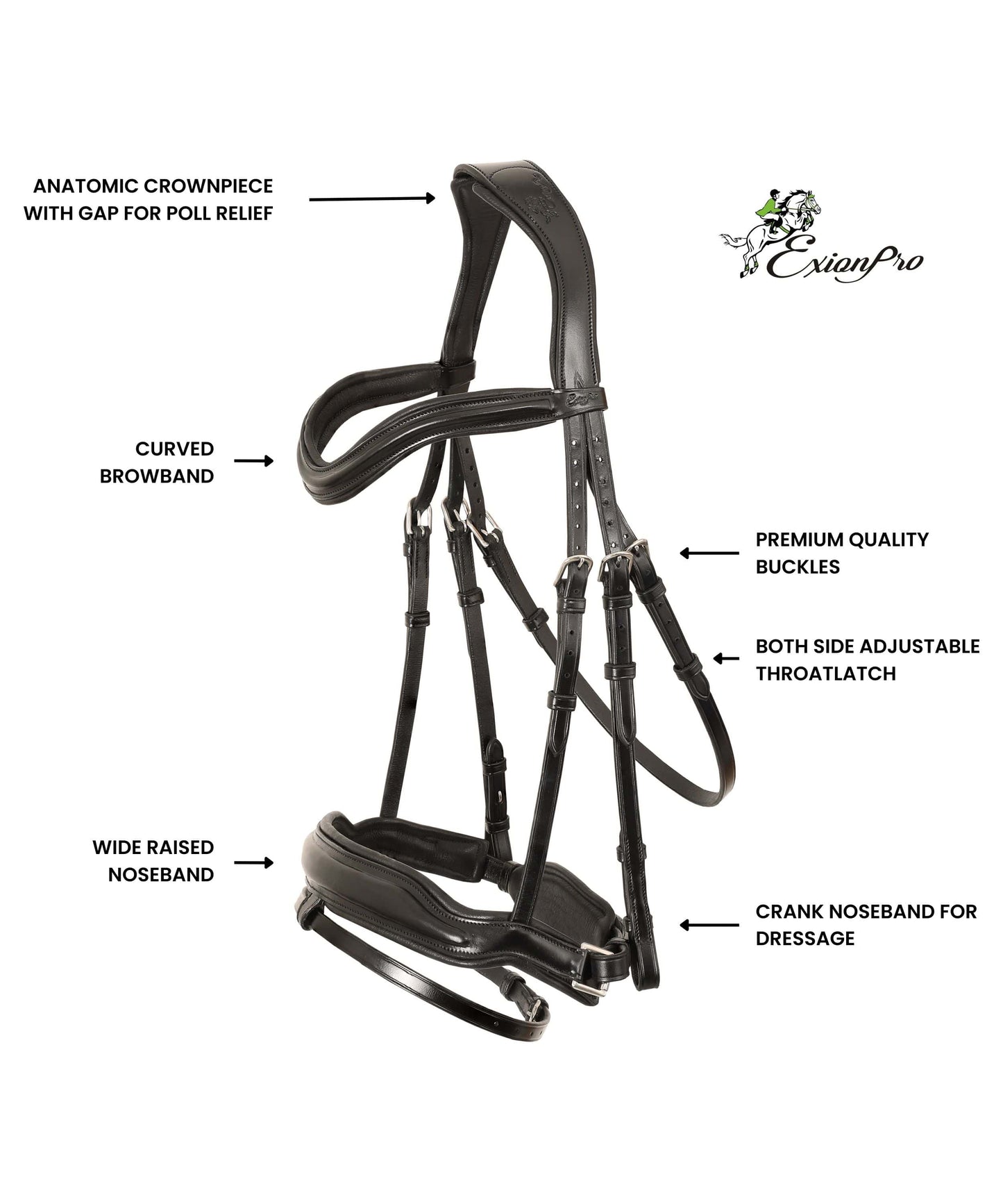 ExionPro 'Leo' Dressage Bridle with Reins