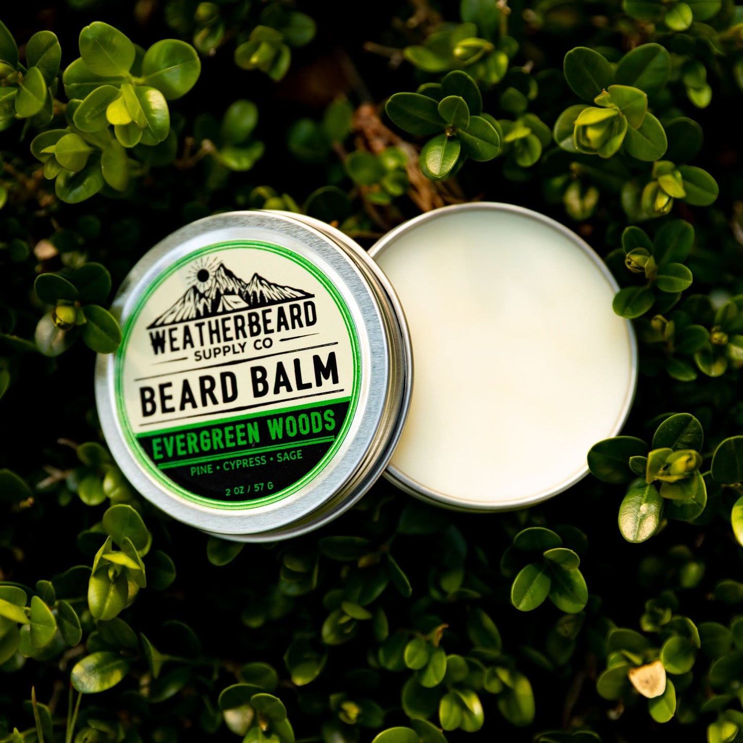 Evergreen Woods Beard Balm - Pine, Cypress, Sage