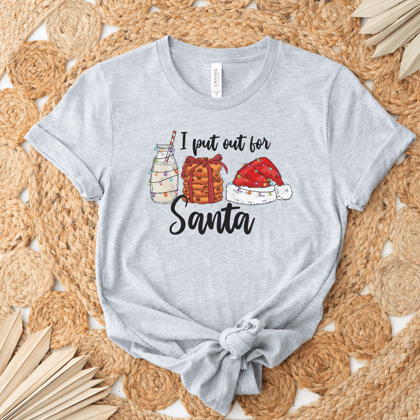 I Put Out for Santa T-Shirt