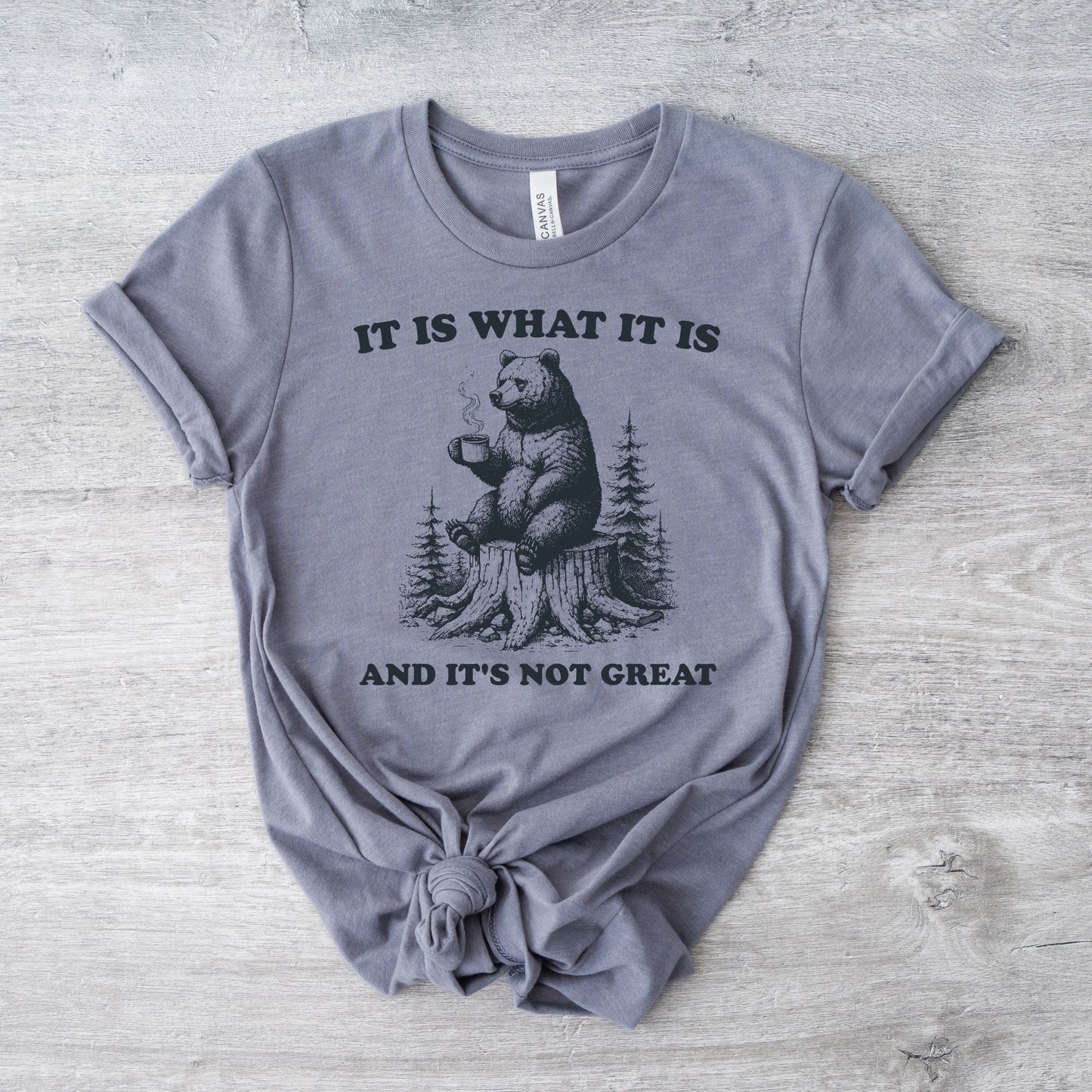 It Is What It Is Bear T-Shirt