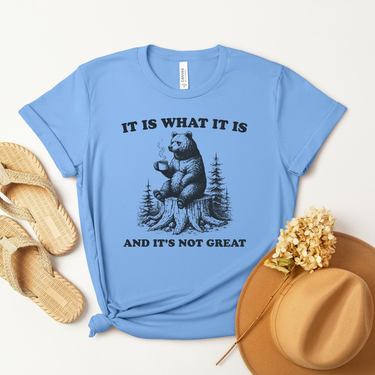 It Is What It Is Bear T-Shirt