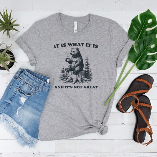 It Is What It Is Bear T-Shirt