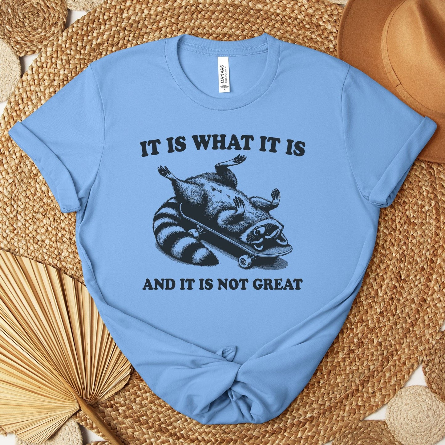 It Is What It Is Racoon T-Shirt