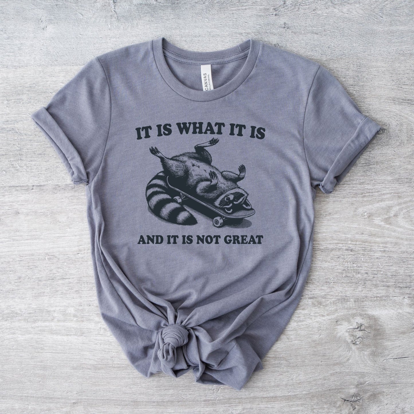 It Is What It Is Racoon T-Shirt