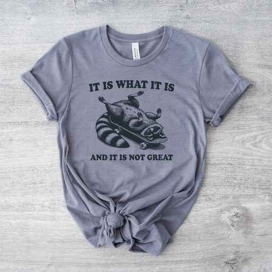It Is What It Is Racoon T-Shirt